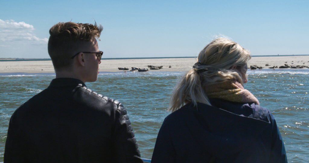 Zeehonden Texel - Zeehondentocht Texel